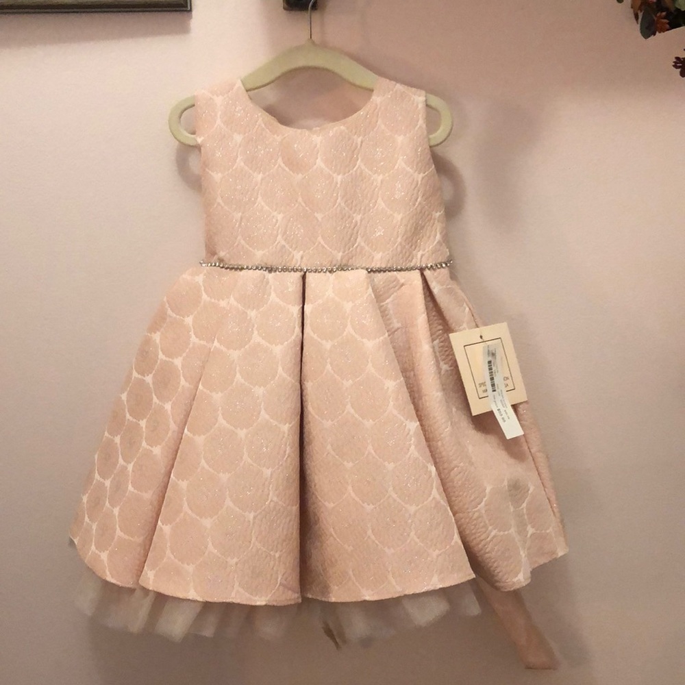 Special Occasion Dress 18 months